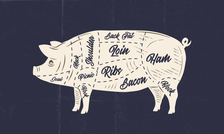 Vector of Pig, Pork meat chart. Butchery - ID:1-192277981 - Royalty ...