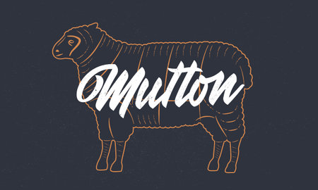 Sheep, Mutton vintage sketch. Lamb silhouette with grunge texture. Vintage poster. Typography. Vector illustration.のイラスト素材