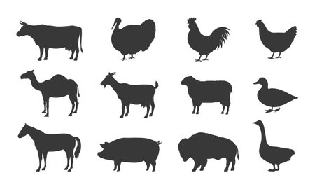 Farm Animals Silhouettes. Pig, Chicken, Cow, Lamb, goat. Farm Animals icons isolated on white background. Vector livestock icons.&nbsp;のイラスト素材