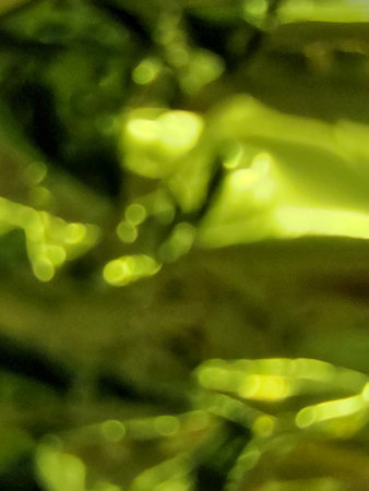 Blurred green background. Green spotted background for business cards and websites. Defocusedの写真素材