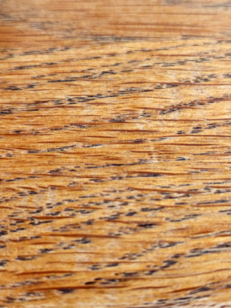 Texture of oak. Oak texture under varnish. vintage background for advertisingの写真素材