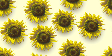 Sunflower flowers. Seamless background of sunflower flowers. Vector illustrationのイラスト素材