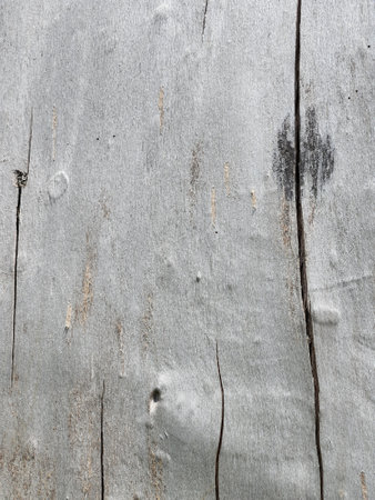 Faded wood texture. Vintage wood background. Old wood textureの写真素材