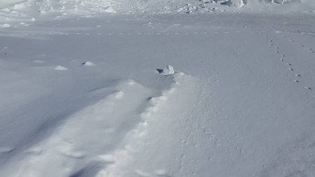 Snowy plain. Snow surface. Winter snowy landscape