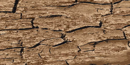 Rotting old wood. Texture of aged rotten wood. Vector illustrationのイラスト素材