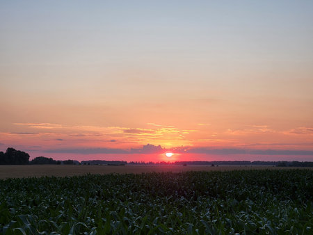 Sunset in the countryside. Sunset over a field. Rural landscapeの写真素材