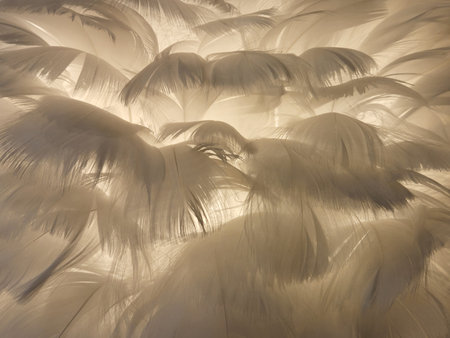 Feather background. Bird feathers. A trendy creative backdrop for designの写真素材