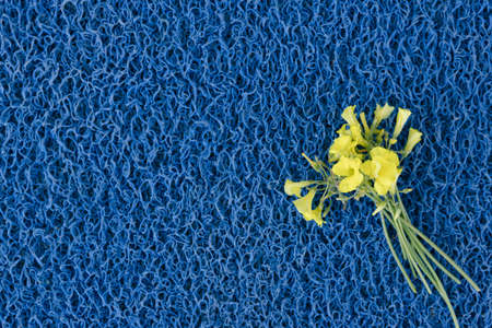 yellow flowers on a blue background, the flag of Ukraine.の写真素材