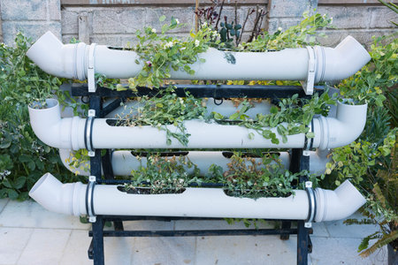 flowers planted in a pipe large from water.Creative planting ideas