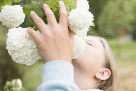 A teenager stands sniffing white flowers on a tree.Flowers in focusの写真素材