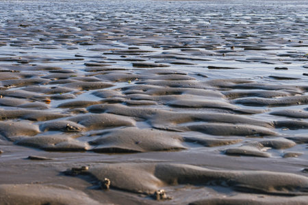 wet sand on the beach close-up pattern in sand after low tideの写真素材