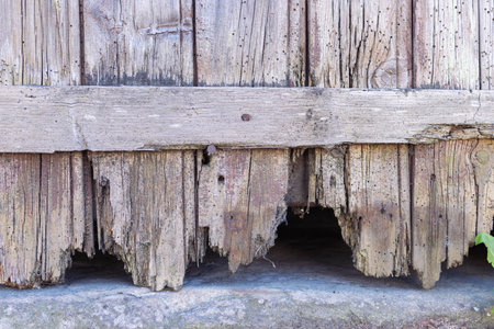 the old wooden fence is all rotten. The bottom of the fence is a close-upの写真素材