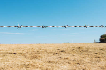 barbed wire against the blue sky and dry grass, a beautiful landscape has a place for an inscriptionの写真素材