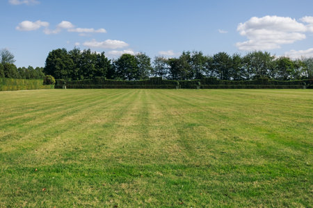 summer landscape of nature against the blue sky and green grass and trees, there is a place for an inscriptionの写真素材