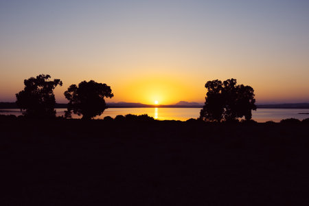 beautiful sunset against the backdrop of trees and a lake. Beautiful photo of nature at sunsetの写真素材
