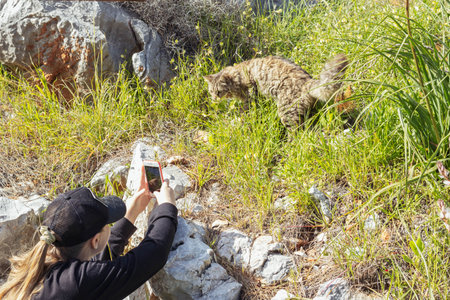 a girl of European appearance sits photographing a cat that sits in