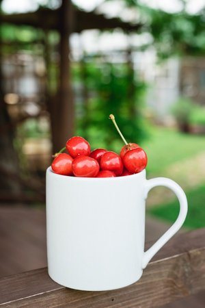 Cherries in the beautiful white cup on brown wooden rough rural table. Summer rustic garden view....