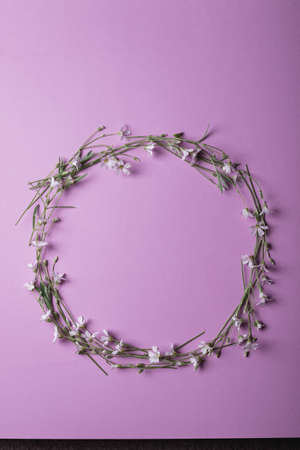 Happy Mother's Day, Women's Day, Valentine's Day. Frame of white small flowers on a pink background. Flat lay, top view, copy spaceの写真素材