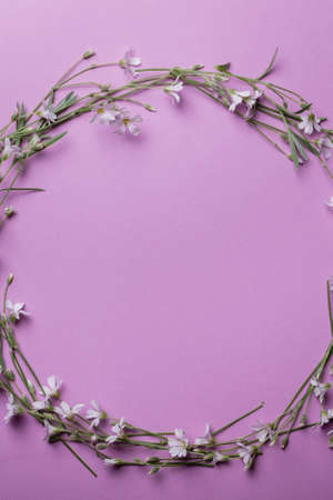 Happy Mother's Day, Women's Day, Valentine's Day. Frame of white small flowers on a pink background. Flat lay, top view, copy spaceの写真素材