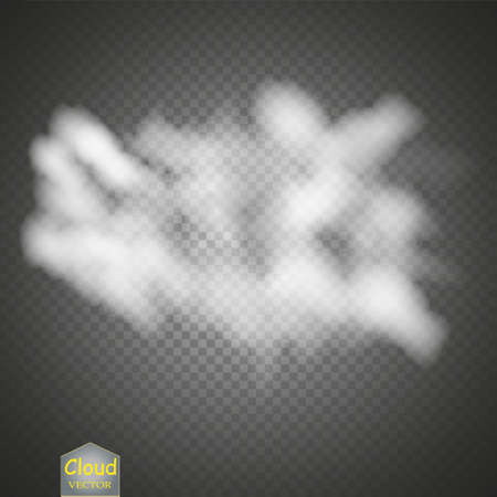 Fog or smoke isolated transparent special effect. White vector cloudiness, mist or smog background. Vector illustration.のイラスト素材