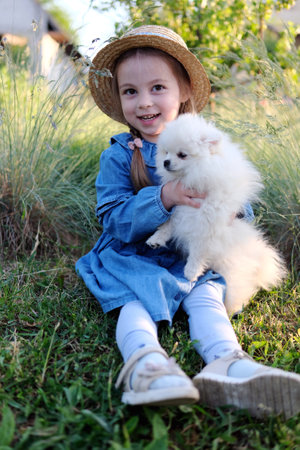 A cute little girl is sitting on the grass with a white Pomeranian puppyの写真素材