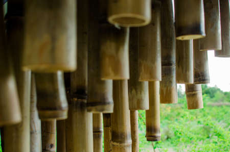 Bamboo fence in the springの写真素材