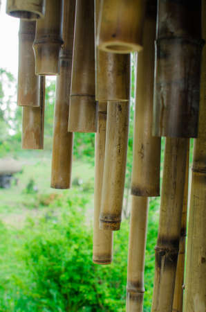 bamboo fence backgroundの写真素材