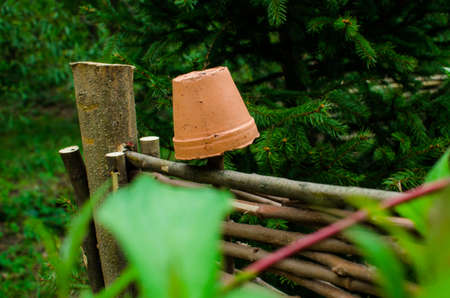 garden with pond in asian style.の写真素材