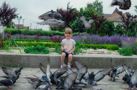 A little girl is playing with a lot of pigeons in the parkの写真素材