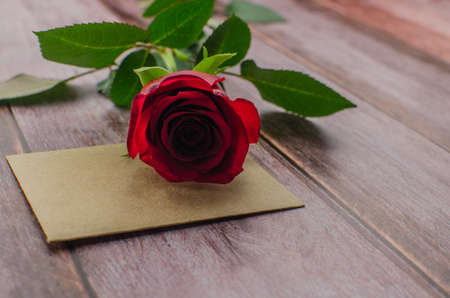 Red rose and Valentines day hearts on wood. copy space for textの写真素材