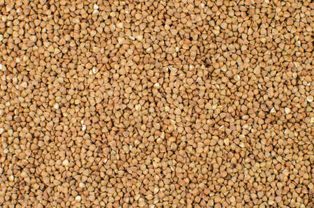 Buckwheat background, texture, the rump. Roasted buckwheat. Useful properties of buckwheat. Garnish. Ingredient, product, cook Brown Agribusiness crop organic farming Dietary productの写真素材