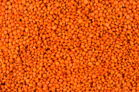red lentil background, healthy foodの写真素材