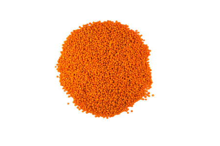 red lentil background, healthy foodの写真素材