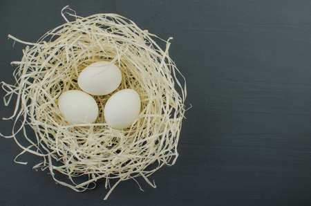 egg white on straw. chicken egg in the nestの写真素材
