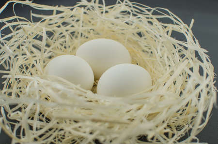 egg white on straw. chicken egg in the nestの写真素材