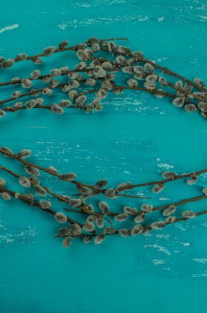 pussy willow twigs on wood background. Copy space for textの写真素材