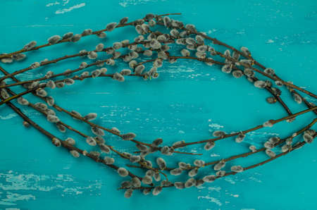 pussy willow twigs on wood background. Copy space for textの写真素材