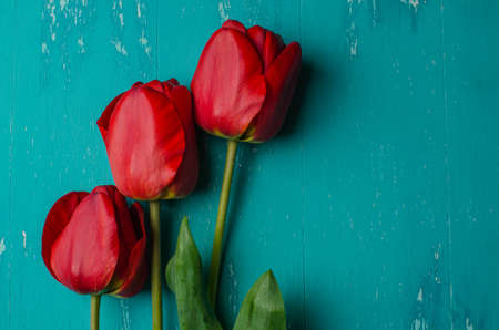 Bouquet of pink tulips on a blue wooden background. View from above.の写真素材