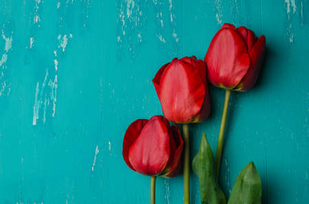 Bouquet of pink tulips on a blue wooden background. View from above.の写真素材
