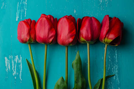 Bouquet of pink tulips on a blue wooden background. View from above.の写真素材
