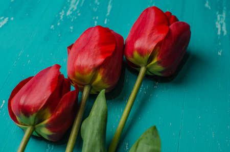 Bouquet of pink tulips on a blue wooden background. View from above.の写真素材
