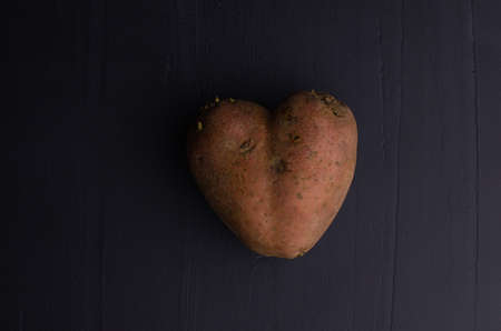 Ugly potato in the heart shape on a gray background. Unnormal vegetable or food.の写真素材