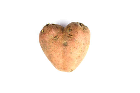 Ugly potato in the heart shape on a gray background. Unnormal vegetable or food.の写真素材