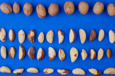 Pekan and brazil nuts on blue background. Healthy foodの写真素材