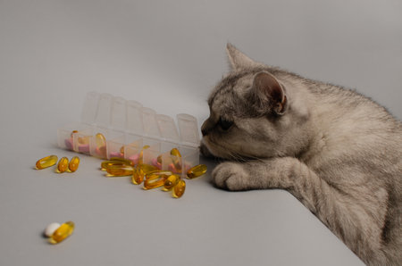Tabby kitten with plate full of pills. Veterinary medicine, treatment for animal disease. High quality photoの写真素材