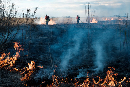 Russia. Fire in the Tver region. Burning dry grass, a large area of ??ignition. Bigada fire...