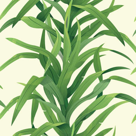 Grass seamless backgroundのイラスト素材