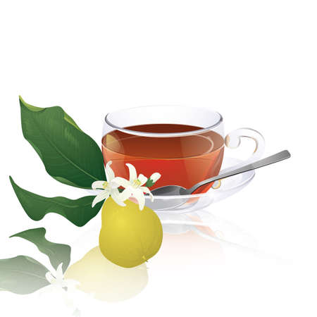 Earl Grey tea (with bergamot)のイラスト素材