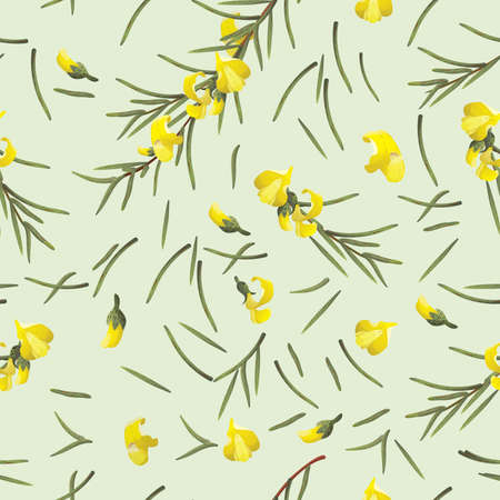 Rooibos tea seamless backgroundのイラスト素材