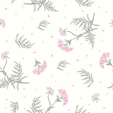 Valerian (Valeriana officinalis) seamless backgroundのイラスト素材